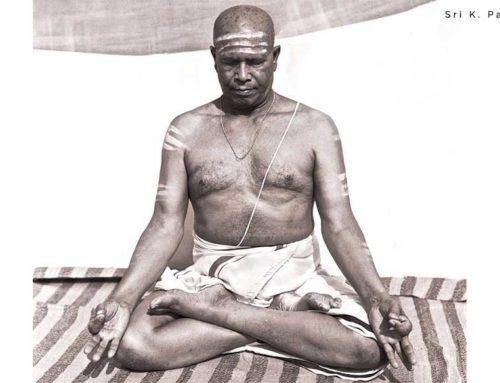 Ashtanga vinyasa joga